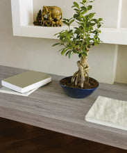 Load image into Gallery viewer, D-C-Fix 346-8135 Adhesive Film 26"x78" Oak Sheffield PearlGrey