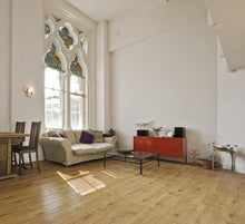 Load image into Gallery viewer, D-C-Fix 346-0431 Venetian Garden Self Adhesive Décor/Window Film 17" x 78"