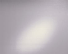 Load image into Gallery viewer, D-C-Fix 338-8011 Frost Static Cling Window Film 26" x 59"