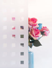 Load image into Gallery viewer, D-C-Fix 338-8010 Caree Static Cling Window Film 26" x 59"